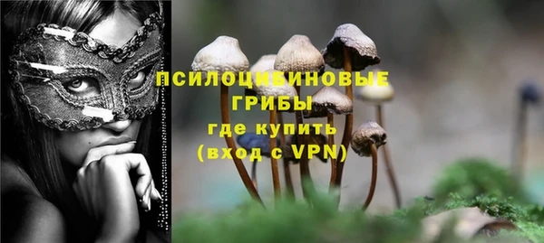 метадон Карпинск